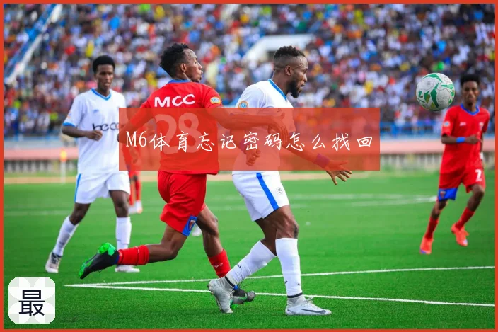 M6体育忘记密码怎么找回