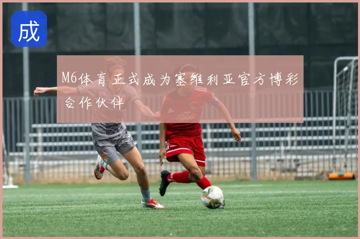 M6体育正式成为塞维利亚官方博彩合作伙伴