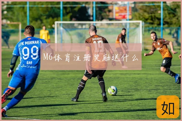 M6体育注册奖励送什么